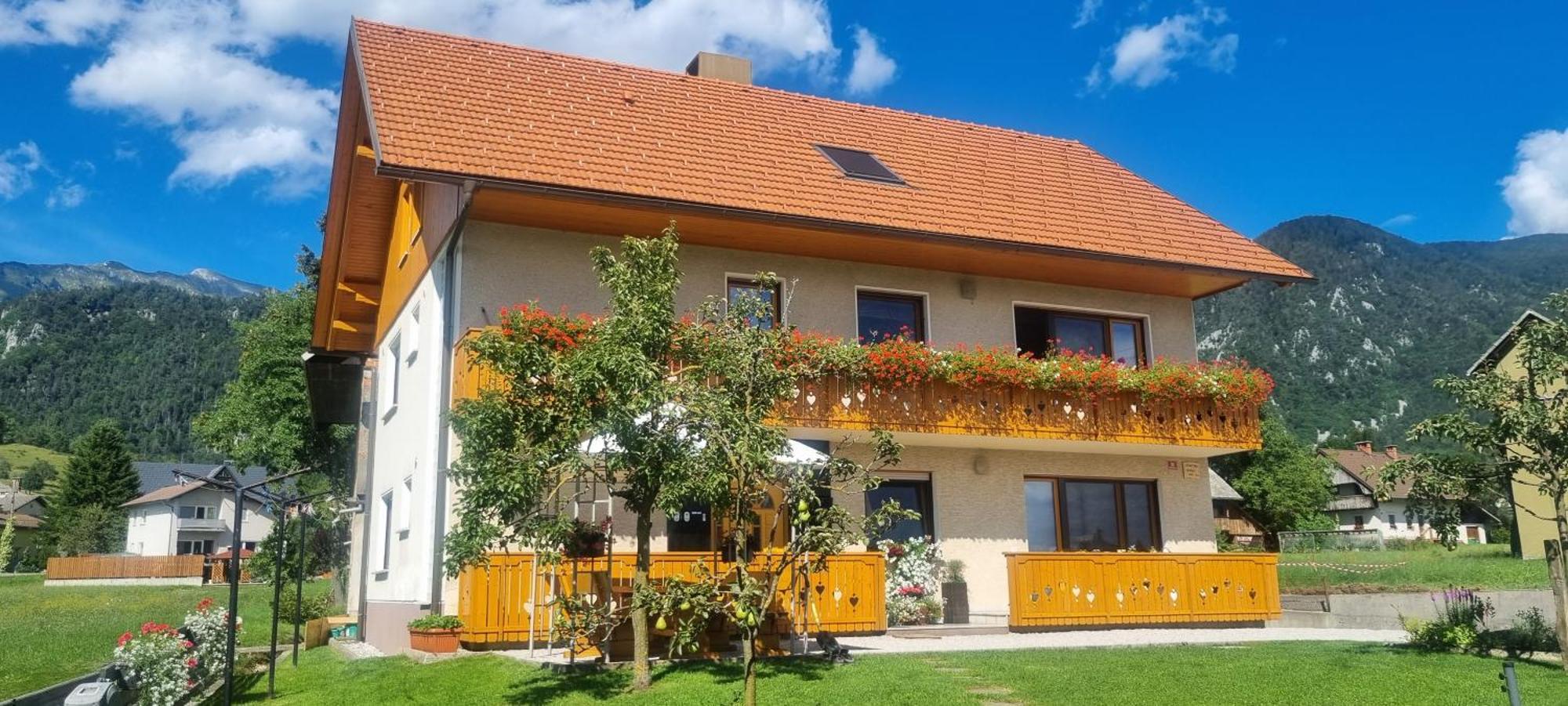 Apartma Ana In Manca Begunje na Gorenjskem Eksteriør billede